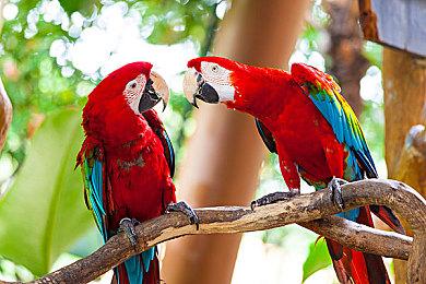 魔理沙法庭对决八云紫，推理AVG《东方裁判梦》将于11月8日正式上线STEAM平台！